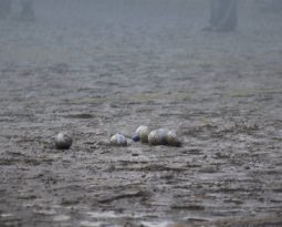 V bahenních lázních Velikonočního vejce si nejvíce rochnili Krumsínští