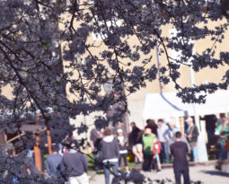 V Loděnici se sázelo na Michálky, vyhráli však Korešovi
