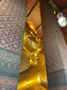 IMG 7845